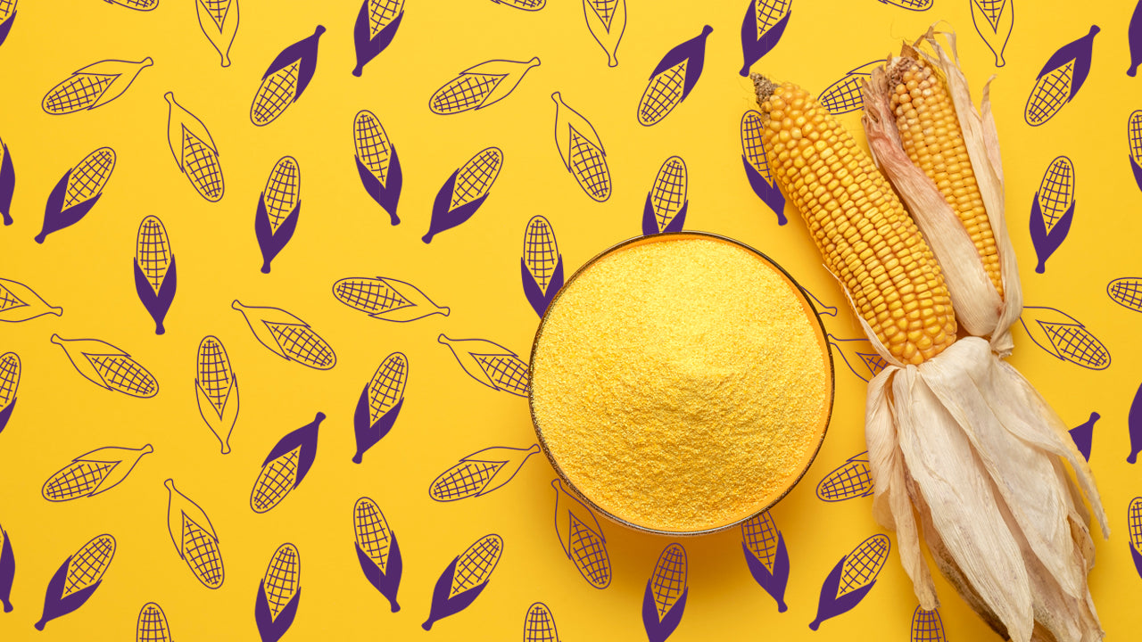 Corn next to a bown of corn maize flour on a background of purple and yellow corns